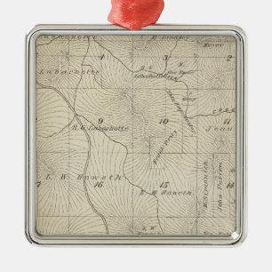 T23S R29E Tulare County Section Map Metal Tree Decoration