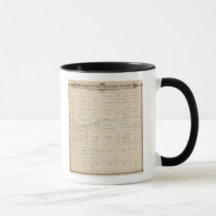 T24S R21E Tulare County Section Map Mug