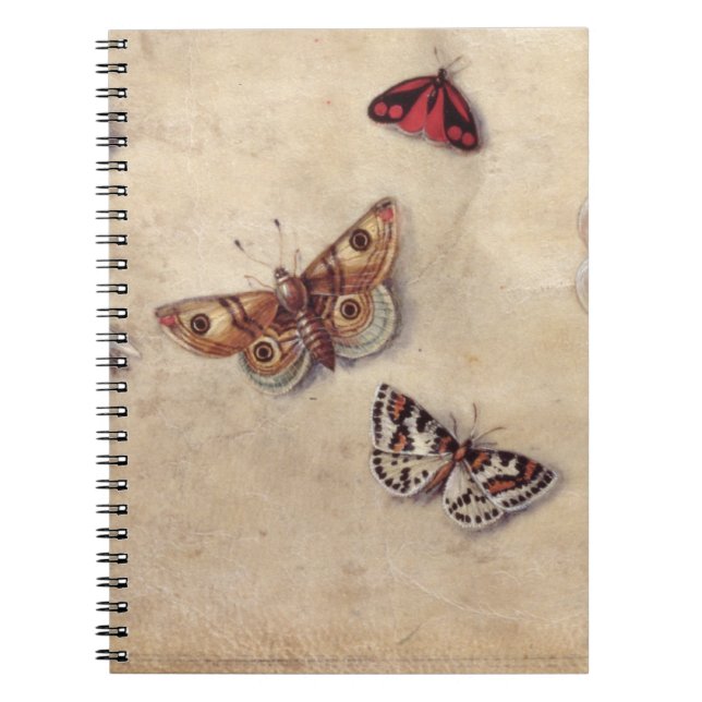 T31566 A Study of Various Insects, Fruit and Anima Notebook (Front)