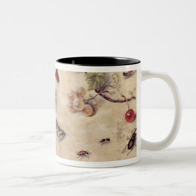 T31566 A Study of Various Insects, Fruit and Anima Two-Tone Coffee Mug (Right)