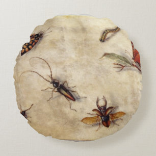 T31567 A Study of Various Insects, Fruit and Anima Round Cushion