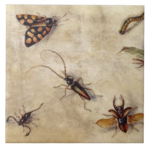 T31567 A Study of Various Insects, Fruit and Anima Tile