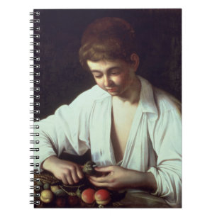 T31971 A Young Boy Peeling an Apple Notebook
