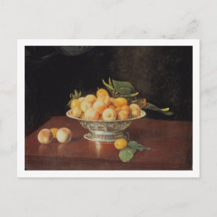 T32176 Still Life of Peaches, c.1700 Postcard