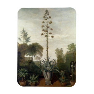 T33047 A Botanical Garden Magnet