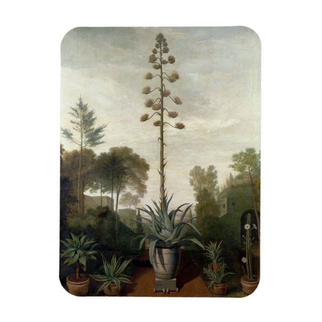 T33047 A Botanical Garden Magnet (Vertical)