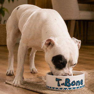 "T-BONE" PERSONALIZE 25 OZ. CERAMIC PET BOWL