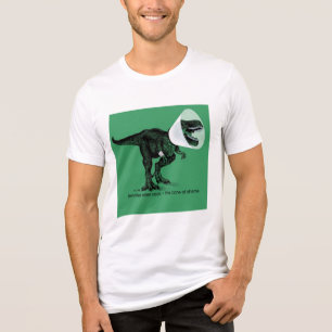 T Rex Cone of Shame    Jennifer ellen Cook Tri-Blend Shirt