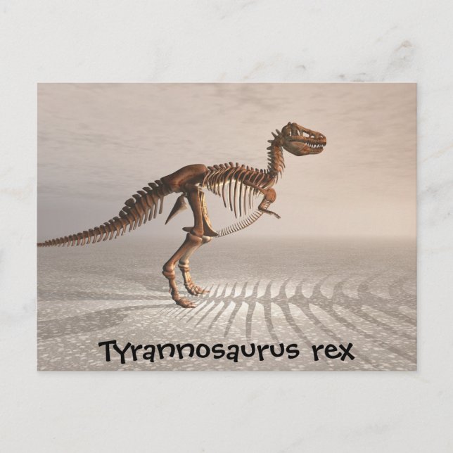 T. rex Dinosaur Skeleton postcard (Front)