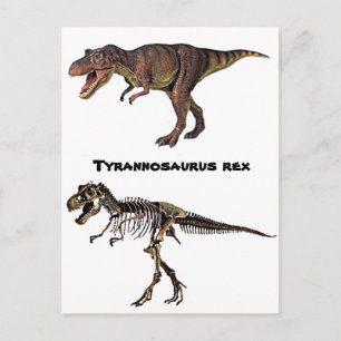 T-rex Flesh-n-Bone,Postcard Postcard