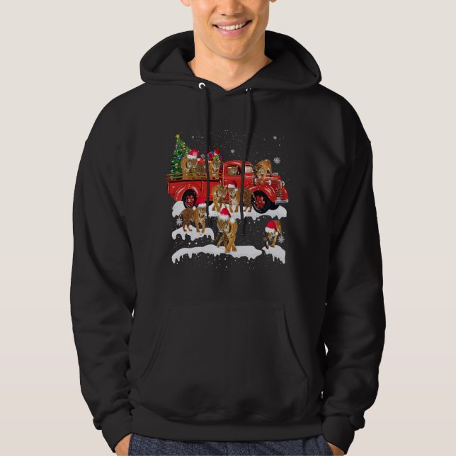 T-rex Riding Red Truck Christmas Tree Believe Sant Hoodie (Front)