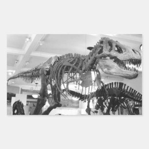 T-Rex Skeleton Pencil Rectangular Sticker