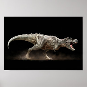 T-rex Tyrannosaurus Poster