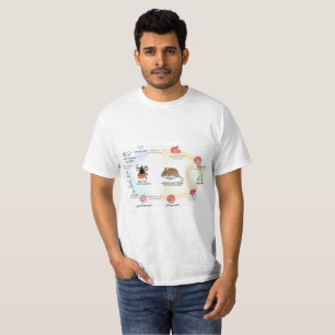 T-Shirt Diagram Babesia microti life cycle
