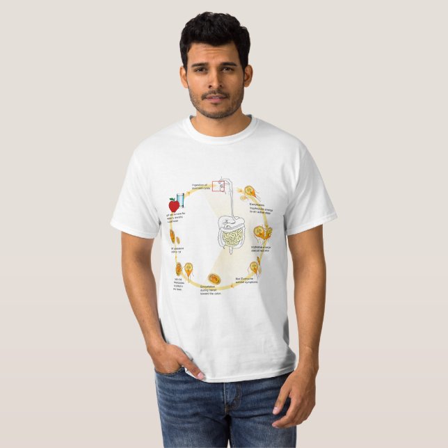 T-Shirt  Diagram Giardia Life Cycle Parasite (Front Full)