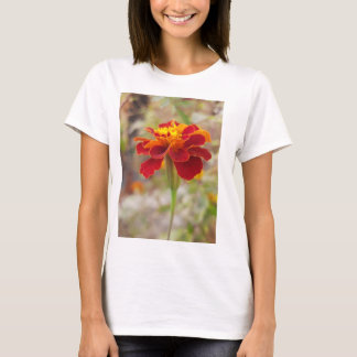 T-Shirt for buety ledy