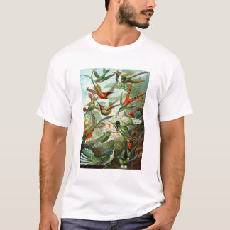T-Shirt: Hummingbirds ("Trochilidae") by Haeckel T-Shirt