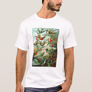 T-Shirt: Hummingbirds ("Trochilidae") by Haeckel T-Shirt