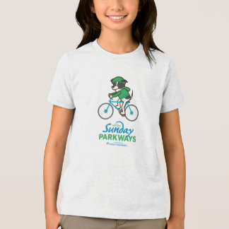 T-Shirt Tri-Blend Shirt