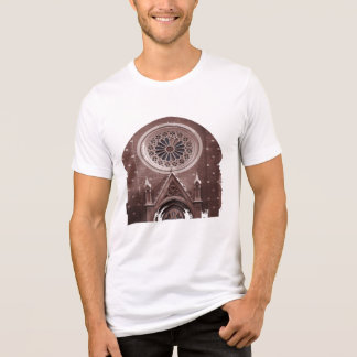 T-Shirt Tri-Blend Shirt