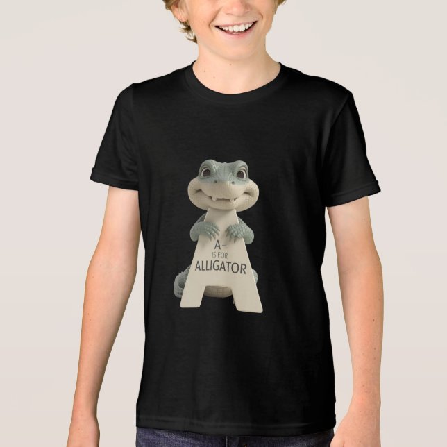 T-Shirt Tri-Blend Shirt (Front)