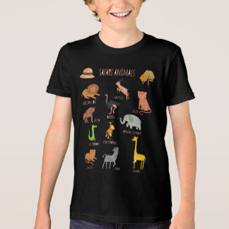 T-Shirt Tri-Blend Shirt