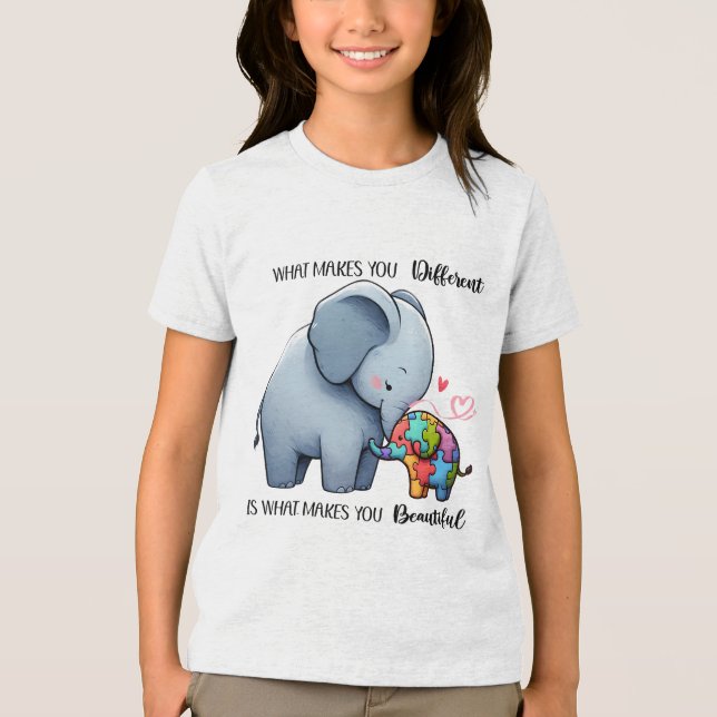 T-Shirt Tri-Blend Shirt (Front)