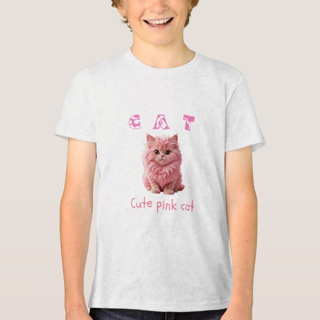 T-Shirt Tri-Blend Shirt (Front)