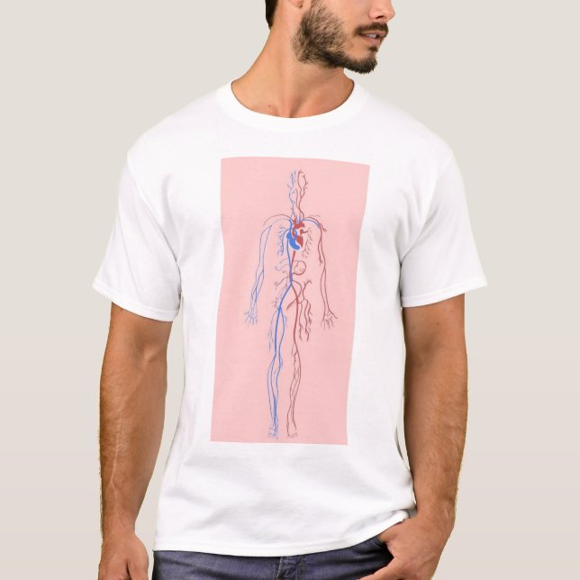 T-shirt with anatomical design (Front)