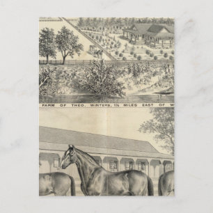 T Winters farm Postcard