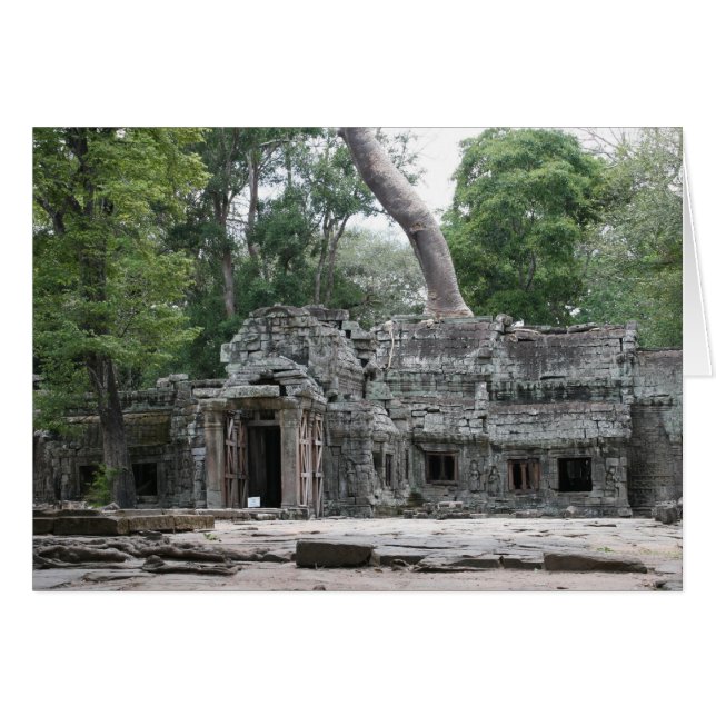 ta prohm front (Front Horizontal)