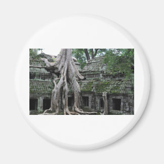 ta prohm temple in cambodia magnet
