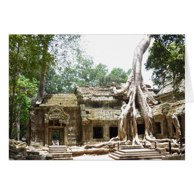 ta prohm tree (Front Horizontal)