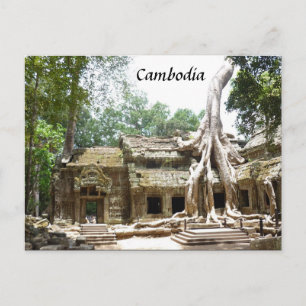 ta prohm tree postcard