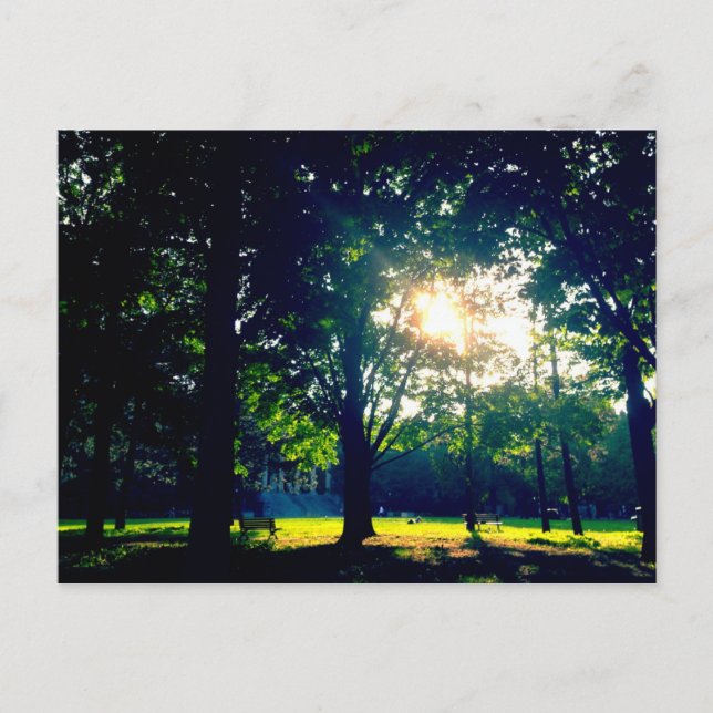 Tabaret Hall Lawn Postcard (Front)