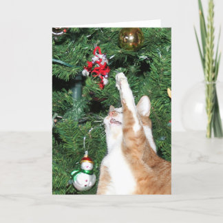 Tabby and Christmas tree Holiday Card