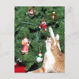Tabby and Christmas tree Holiday Postcard