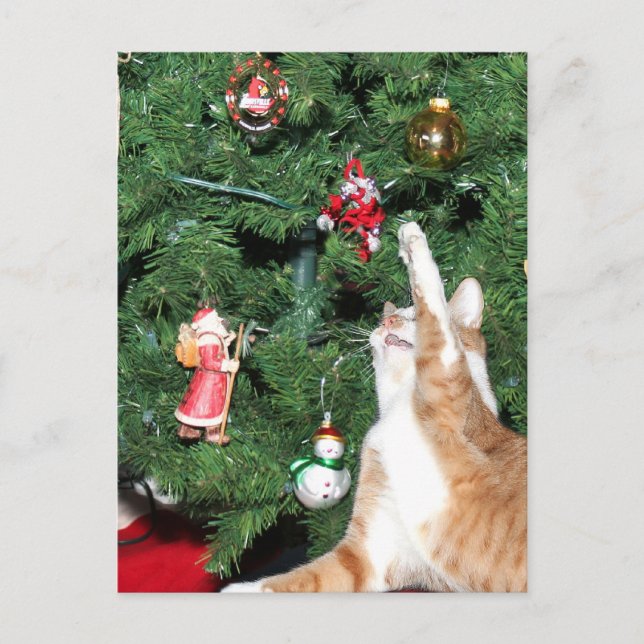 Tabby and Christmas tree Holiday Postcard (Front)