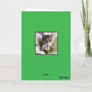Tabby and Tiger Folded Greeting Card