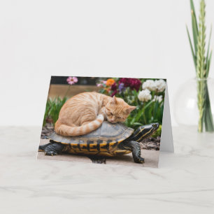 Tabby and Turtle Folded Greeting Card