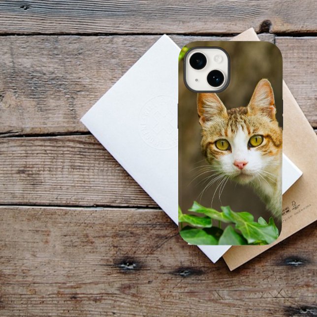 Tabby and White Cat and Ivy Case-Mate iPhone Case (Creator Uploaded)