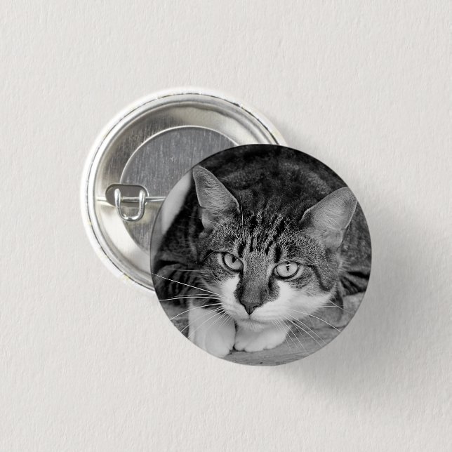 Tabby and White Cat Face 3 Cm Round Badge (Front & Back)