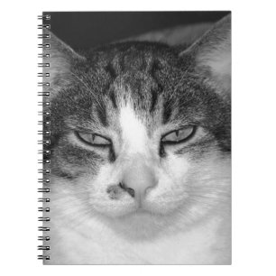 Tabby-and-White Cat Notebook