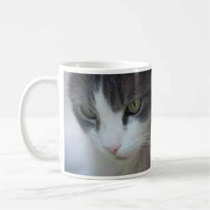 Tabby-and-White Cat Staring Coffee Mug