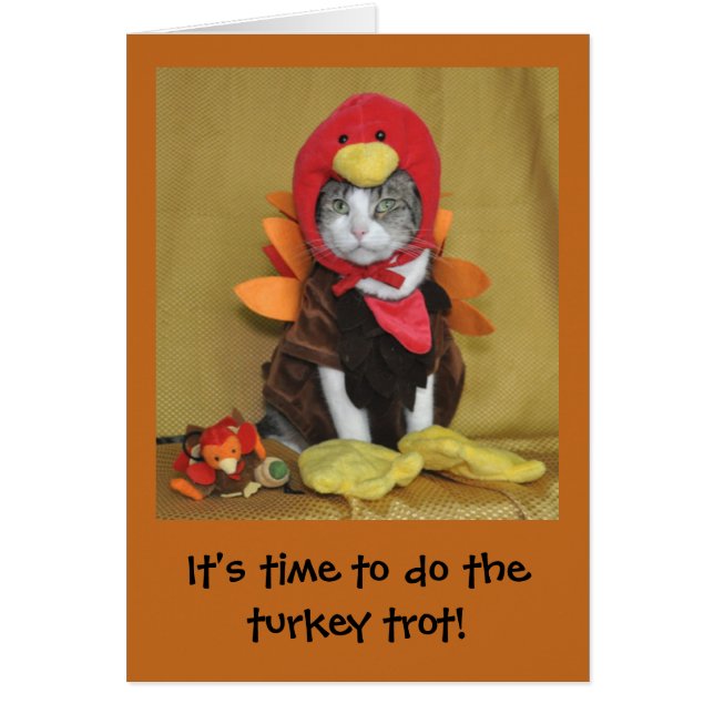 Tabby and white cat Thanksgiving card (Front)