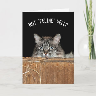 tabby barn cat in hay loft card