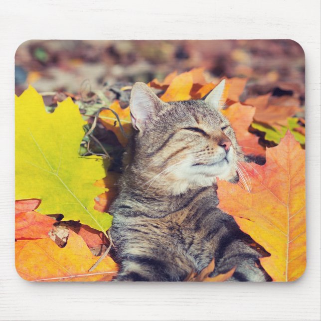 Tabby Basking in the Foliage Mouse Mat (Front)