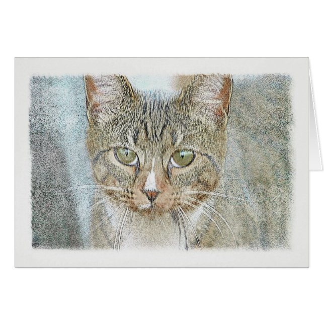Tabby Cat (Front Horizontal)