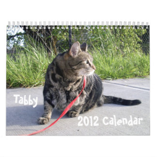 Tabby Cat 2012 Calendar