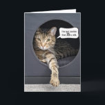 Tabby Cat 75th Birthday Humour Card<br><div class="desc">Grey tabby cat in cubicle box with speech bubble for 75th birthday.
Age can be edited.</div>